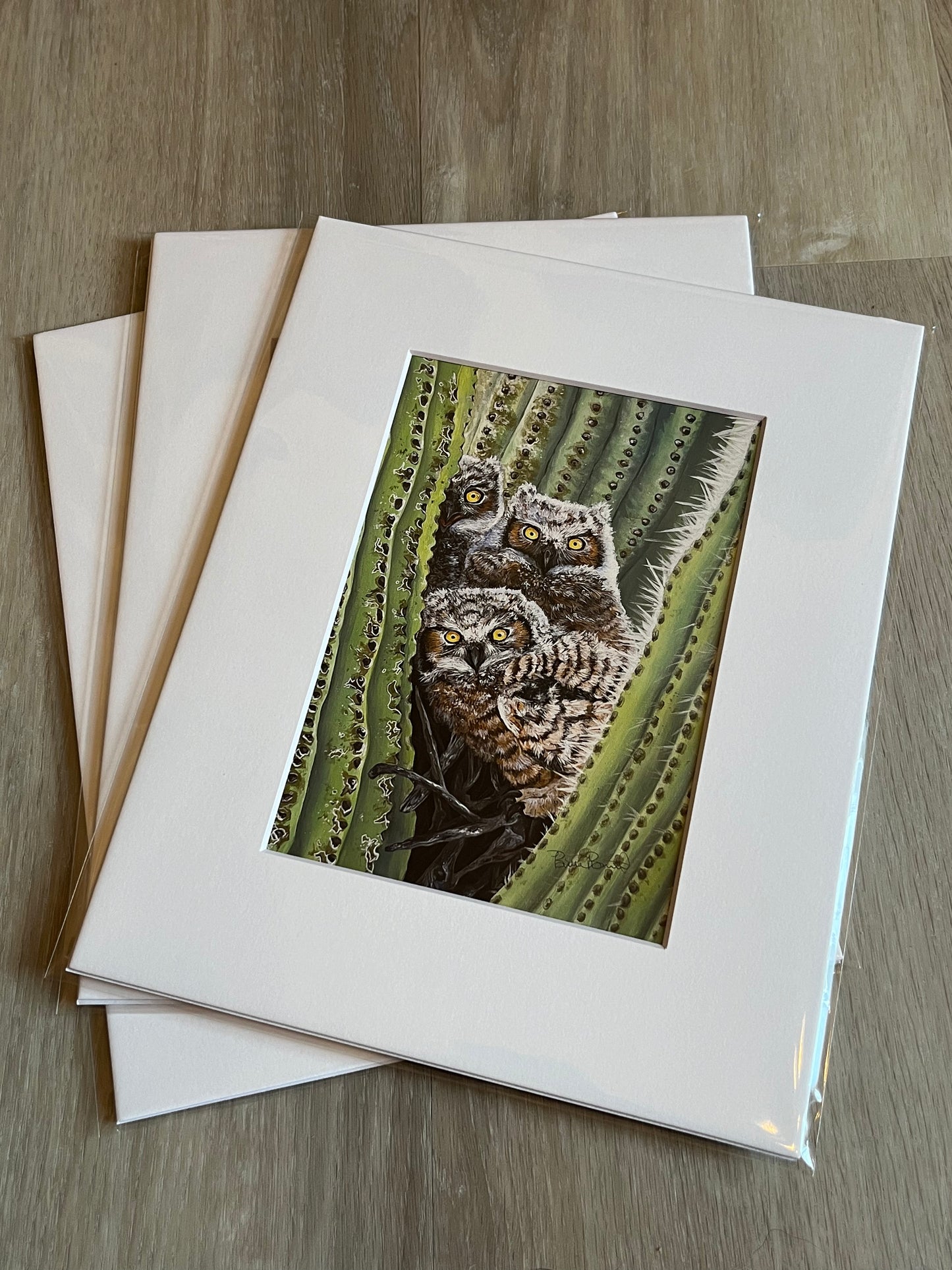 Cactus Owls Print