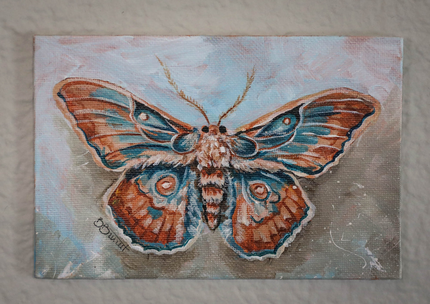 Teal Moth