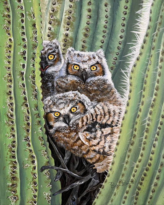 Cactus Owls Print