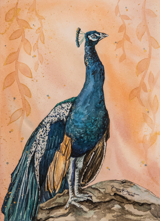 Peacock in the Bio Park
