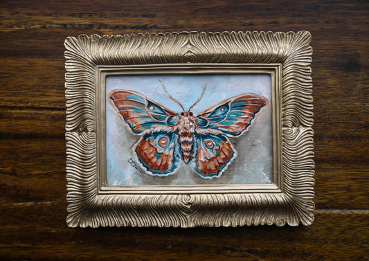 Teal Moth