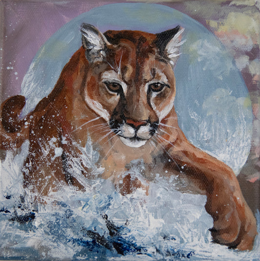Splash